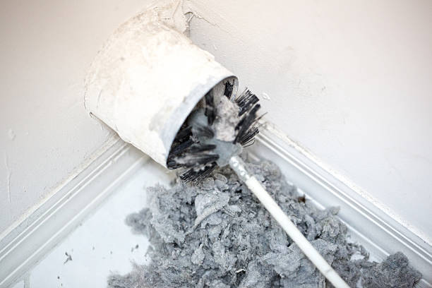 Best Duct Cleaning for Offices  in Meadow Les, AK